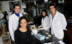 Investigadores Argentinos hallan una manera más eficiente de producir celulas madre