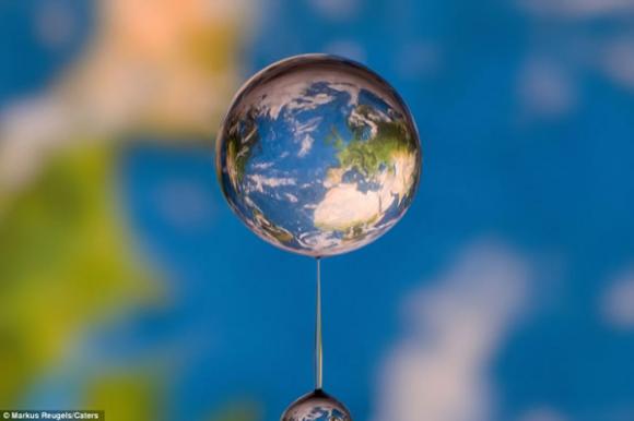 Imágenes sorprendentes captadas en una sola gota de agua