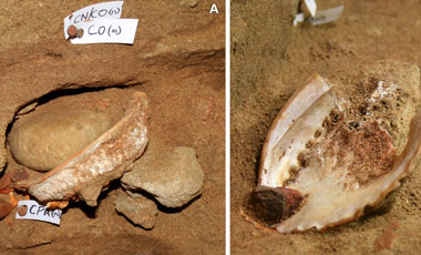 En Sudáfrica descubren un taller y herramientas de ocre de 100.000 años de antiguedad