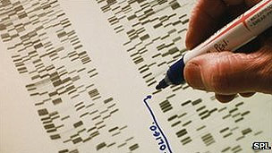 Descifran el ADN completo de la que fue la mujer más vieja del mundo