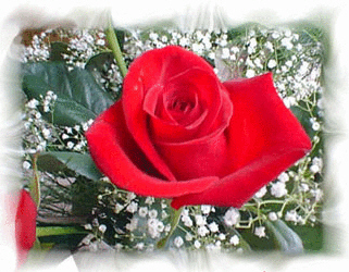 Puedo escribir los versos mas tristes esta noche..... 