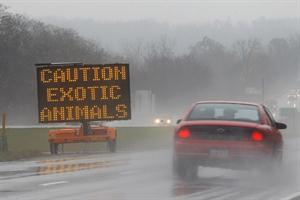 EE.UU.: abrió la jaula de osos, leones y pumas y se suicidó