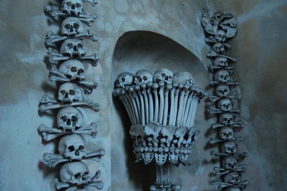 La bacteria de la Peste Negra no evolucionó