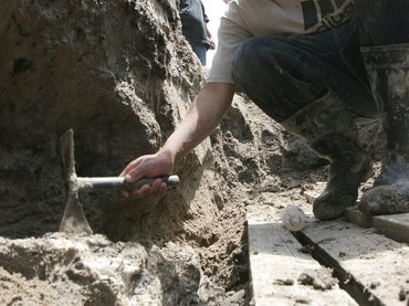 Hallan fósil de una pitón de 15 millones de años.