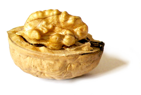 ¿Cómo estás alimentando a tu cerebro?