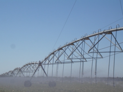 Investigadores Argentinos del INTA presentan un sistema de “cosecha de agua”, es una innovación fresca para el ganado