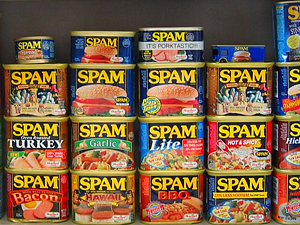 ¿Cuál es el origen de la palabra ¨spam¨? 