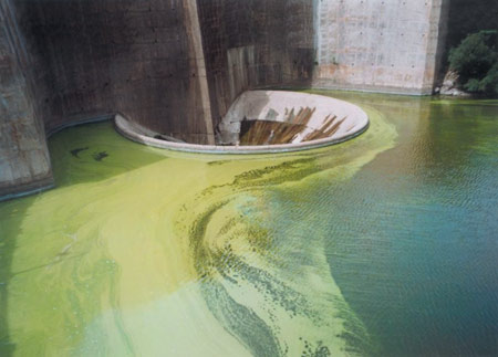 Investigadores Argentinos crean un modelo matemático que controla a las algas en espejos de agua