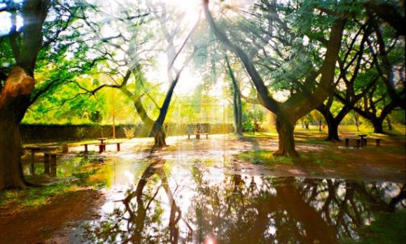 Ciudades iluminadas con árboles