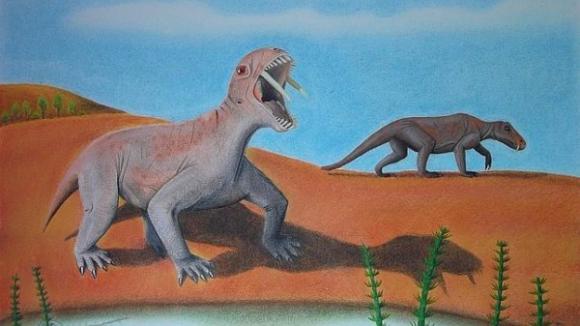 Una nueva especie animal con dientes de sable