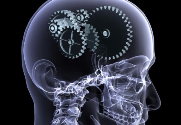 Algunos misterios del cerebro