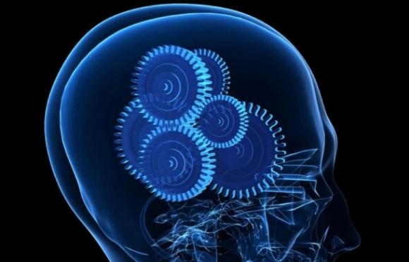 Chips para estudiar el cerebro humano