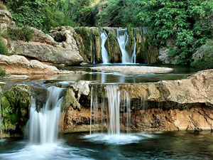  Los peces toman antidepresivos