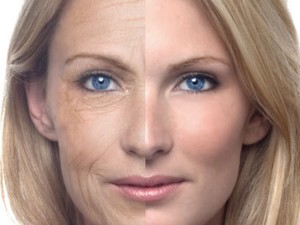 El envejecimiento celular es reversible