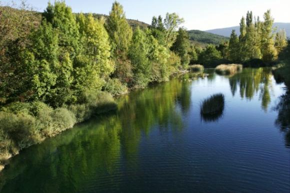 Causas y consecuencias de la contaminación de los ríos