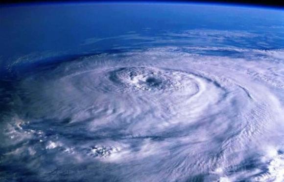 El cambio climático expande enfermedades