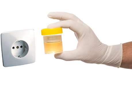  Obtienen electricidad a partir de orina