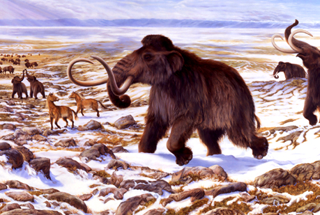 ¿Quién tuvo la culpa de la extinción de la megafauna de la Edad del Hielo?