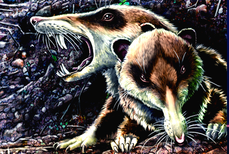 Hallan el fósil de una ardilla con dientes de sable en Argentina