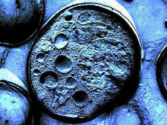 Si las células del cuerpo se renuevan, ¿por qué envejecemos?