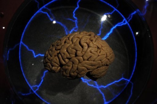 Los cerebros de niños autistas pesan más y tienen más neuronas