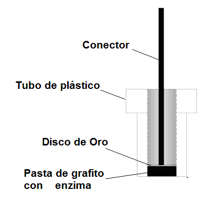 Investigadores Argentinos desarrollan un biosensor económico para medir glucosa