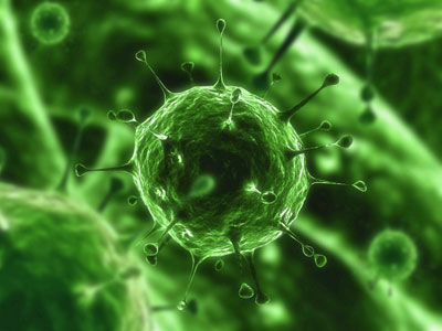 ¿Los virus mueren?