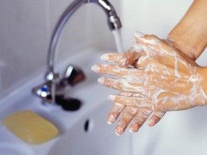 Cómo prevenir las enfermedades de verano