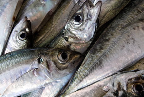 Comer pescado disminuye el riesgo de diabetes