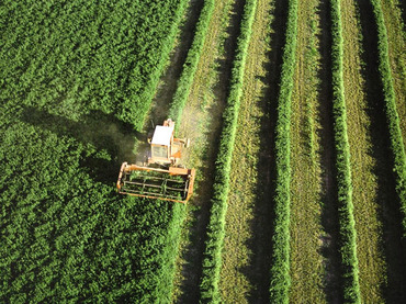 La mala calidad del aire puede afectar a la agricultura en España