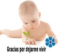 El Senado de Salta se opone al aborto