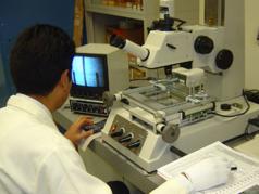 Investigadores Argentinos estiman la prevalencia de cáncer de cuello uterino en América Latina y el Caribe