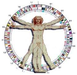 Expertos hallan primera mutación genética común del autismo