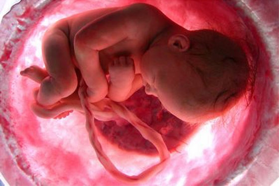 Una sexualidad inteligente, clave para una fertilidad exitosa