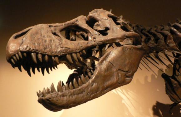 El dinosaurio mejor conservado de Europa