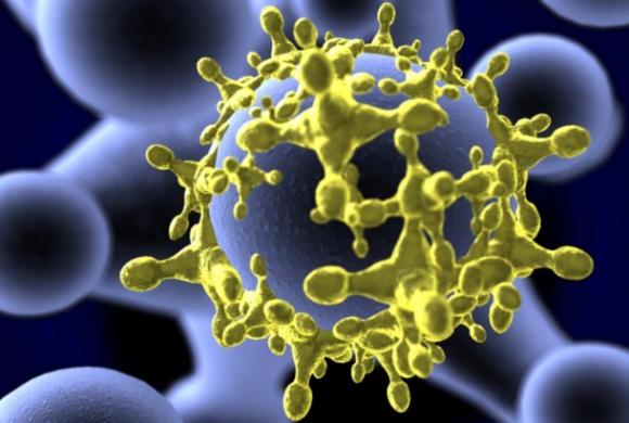 Un virus que elimina las células cancerígenas del cerebro