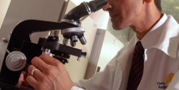 El primer órgano obtenido con células madre.