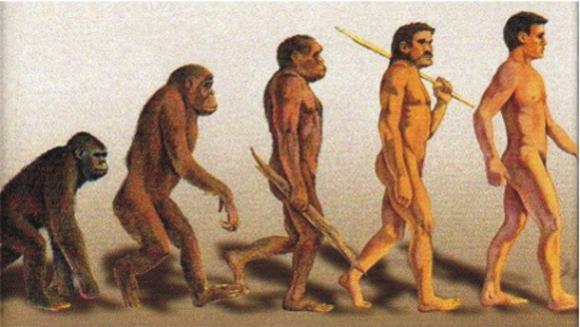 El homínido europeo puede proceder de Asia