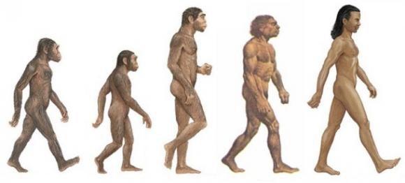 Científicos descubren una nueva especie humana