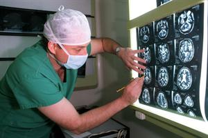 Investigadores Argentinos hallan claves del tictac del cerebro‏