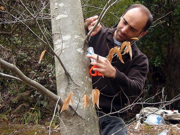 Científicos Argentinos patentan una sustancia para desarrollar un protector solar natural‏