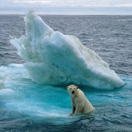 Detectan rápidos cambios en Ártico por calentamiento global