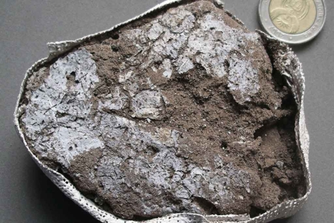 Repelentes de insectos en los colchones de hace 77.000 años