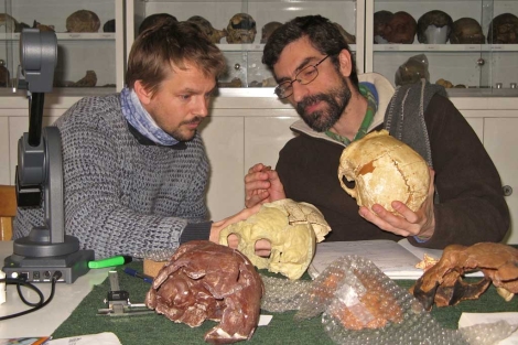 El buen olfato, clave en la evolución de los humanos