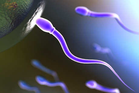 Con dieta mediterránea, el esperma se mueve mejor