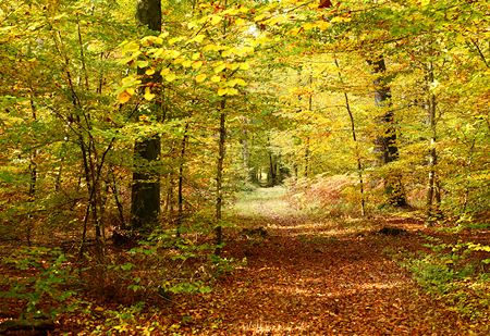 El aire libre mejora la concentración incluso si hace frío