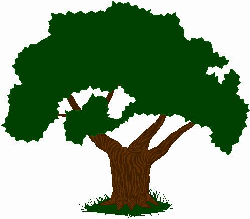 ¿Le puede dar cáncer a un árbol?