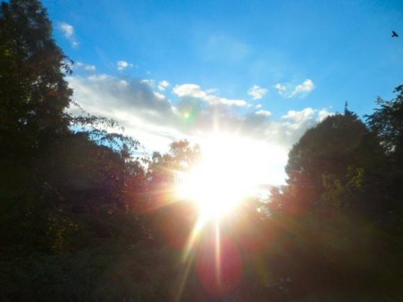 Escasez de vitamina D en la gente de piel muy blanca que evita tomar el sol