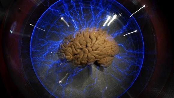 Las cinco predicciones científicas de IBM para los próximos cinco años