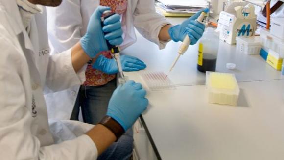 Descubren un sistema para mantener vivas células cancerígenas que podría transformar los tratamientos